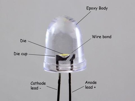 LED anatomy